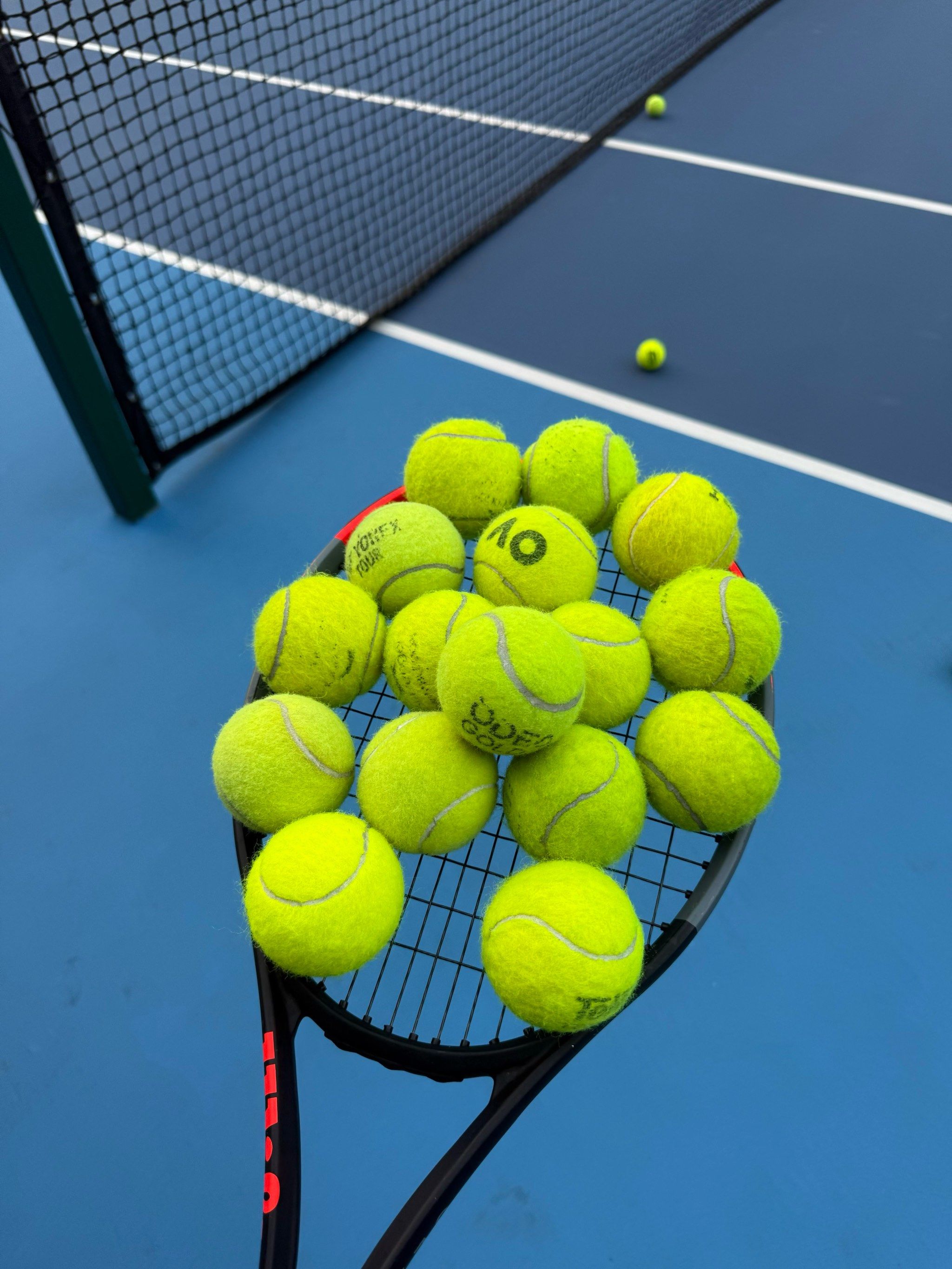 巴特勒的性 巴特勒的性