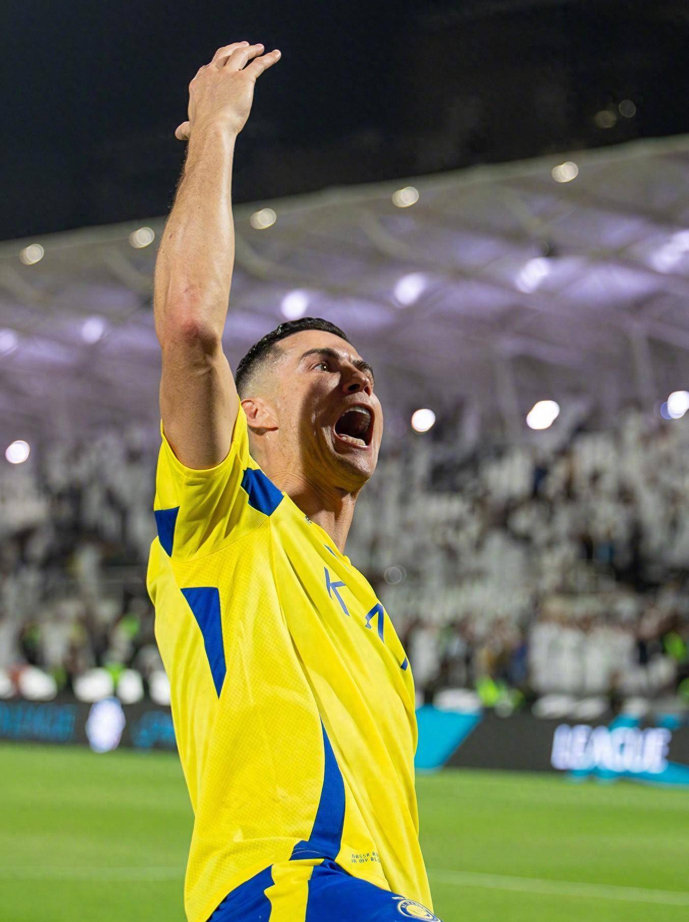 理层相信 理层相信