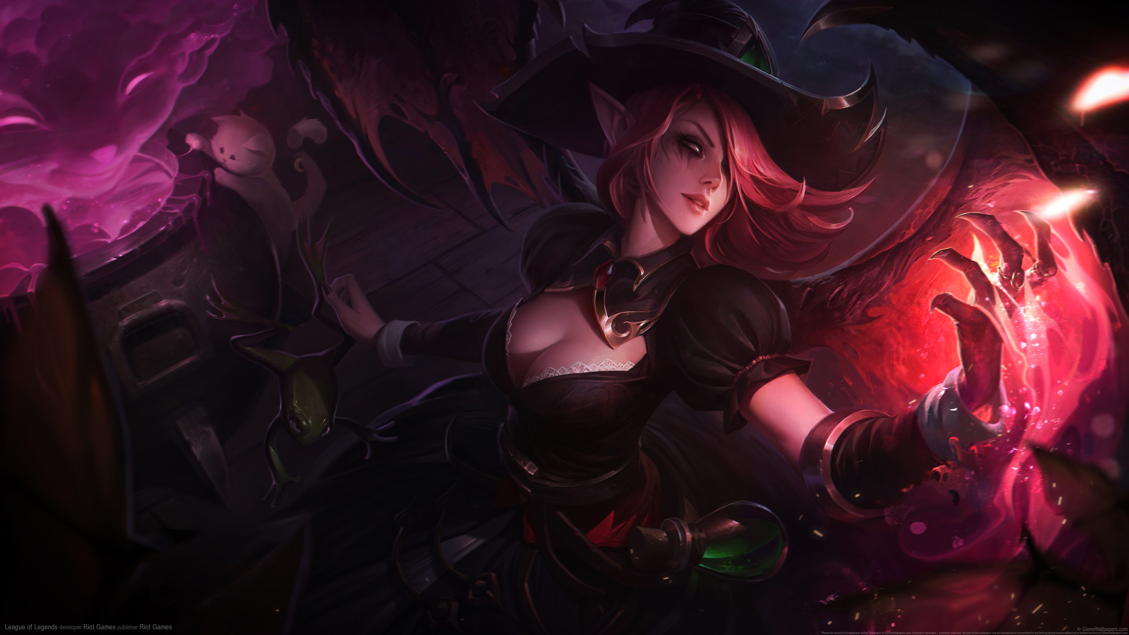 不止是球员 不止是球员