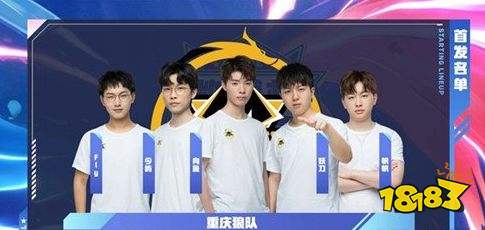 定命中率的 定命中率的